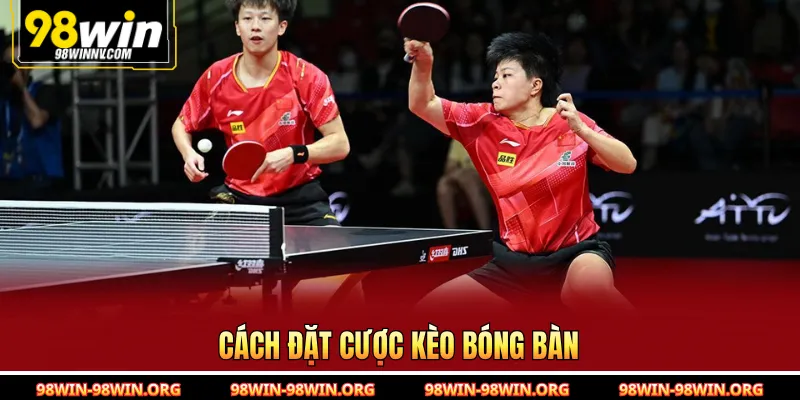 Cách đặt cược kèo bóng bàn