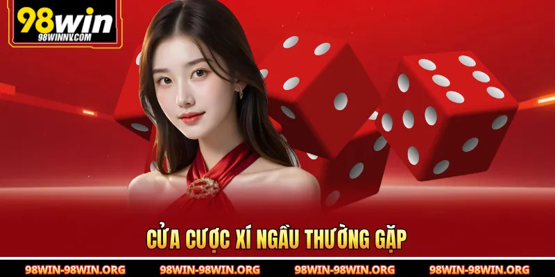 Cửa cược xí ngầu thường gặp 